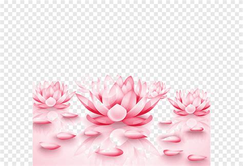 Nelumbo Nucifera Pixel Pink Water Lilies Cosmetics Flower Png PNGEgg