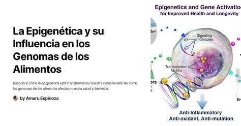 La Epigen Tica Y Su Influencia En Los Genomas De Los Alimentos