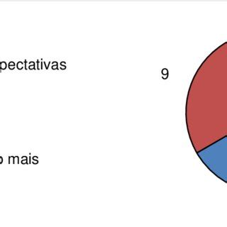 Respostas Dos Discentes Em Rela O S Suas Expectativas Para A Aula