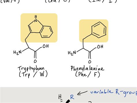 Mcat Amino Acids Cheat Sheet