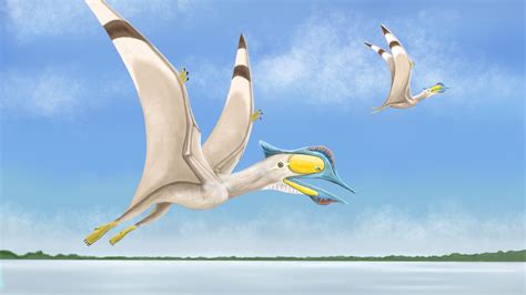 UK scientists find fourth new species of pterosaur in just a few weeks