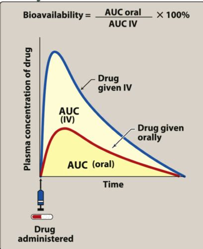Pharmacokinetics Flashcards Quizlet