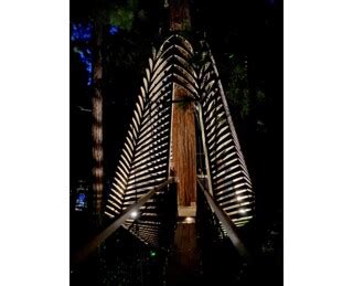 Redwoods Nightlights | Activities & Day Trips in Rotorua, New Zealand