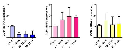 Gene Expression Of Cd A Alp B And Ocn C Analyzed By Real Time