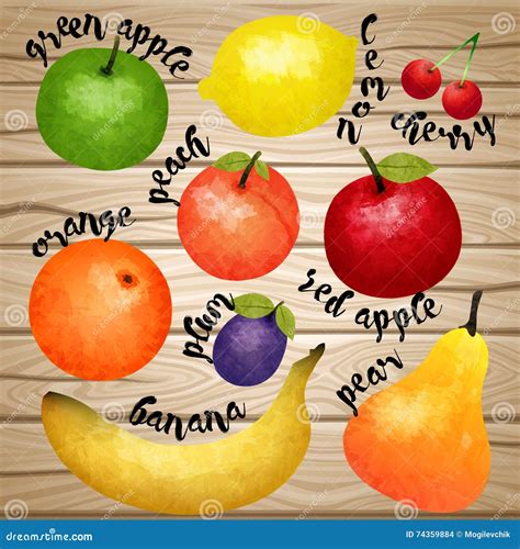 Fruit Collection Stock Vector Illustration Of Concept 74359884