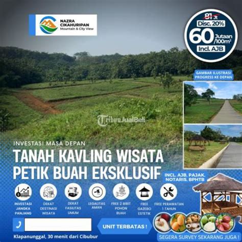 Dijual Tanah Kavling Siap Bangun Lokasi Strategis Di Bogor Tribun