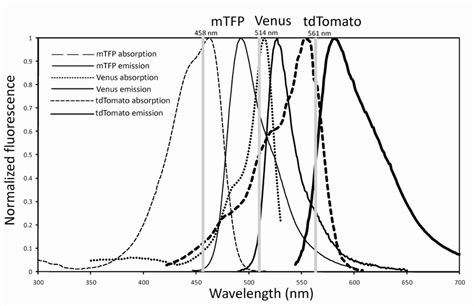 A Strong Spectral Overlap Between The Donor Emission And The Acceptor