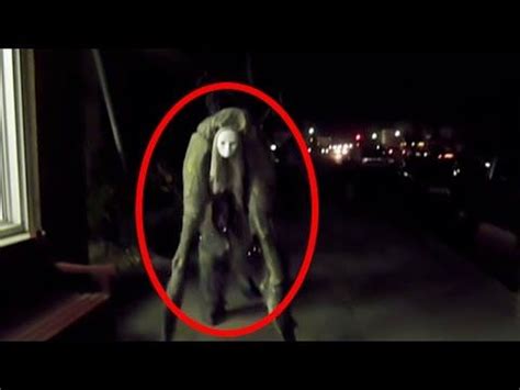 5 Mysterious Creatures Caught On Camera Spotted In Real Life