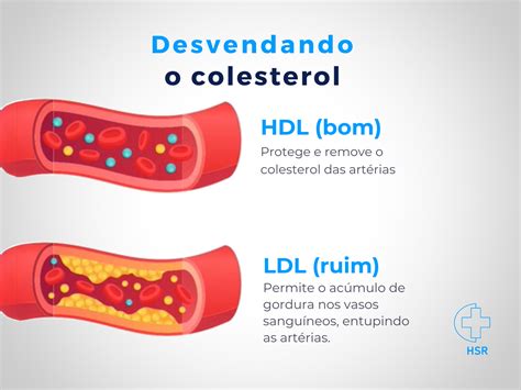 Desvendando O Colesterol Hospital Santa Rita Jaboticaba Rs