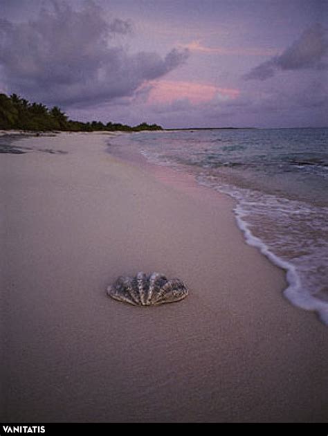 La Paradisíaca Isla Bikini Reclama Lo Que Es Suyo