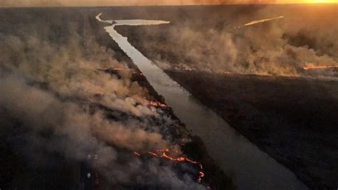 Incendios En Santa Fe El Gobierno Enviará 500000 Barbijos Para La