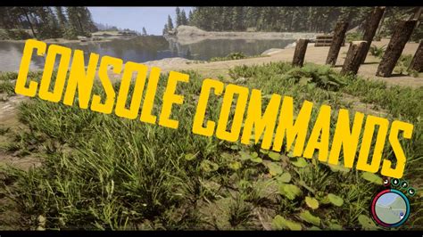 Sons Of The Forest A Quick Guide To Console Commands YouTube