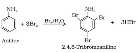 Amines Electrophilic Substitution Nucleophilic Substitution