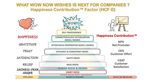 Three Types Of Happiness And Why Happiness Contribution