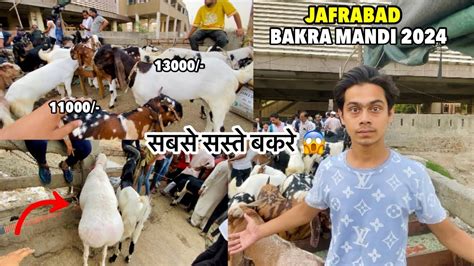 Jafrabad Bakra Mandi Aagye Sabse Saste Bakre YouTube