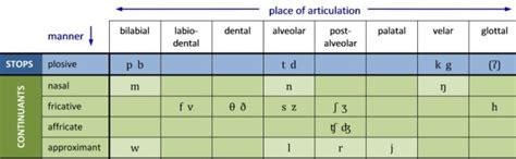 Stopping Phonological Process What Is It [free Worksheets] Speech Therapy Store