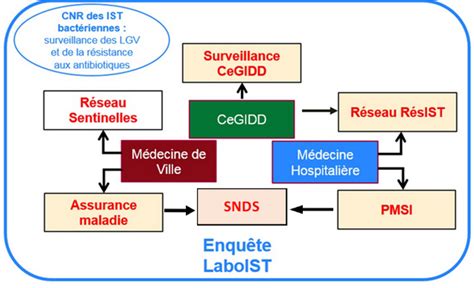 Infections Sexuellement Transmissibles Santé Publique France