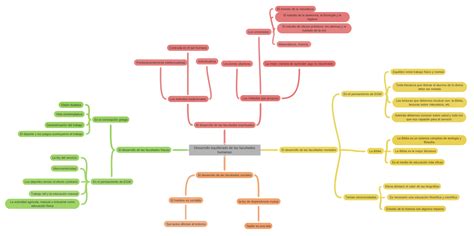 Desarrollo Equilibrado De Las Facultades Humanas Coggle Diagram