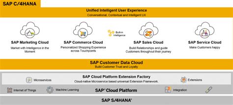 Omnichannel Marketing With Sap Marketing Cloud