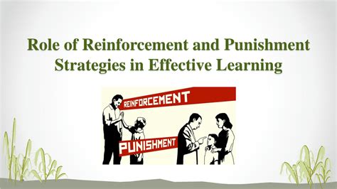 Solution Educational Psychology Reinforcement And Punishment Studypool