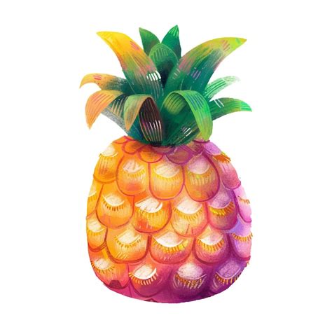 Premium Vector Pineapple Fruit Watercolor Illustration 4