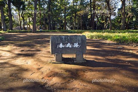 小田原 石垣山一夜城 本丸跡 写真素材 7000311 フォトライブラリー Photolibrary