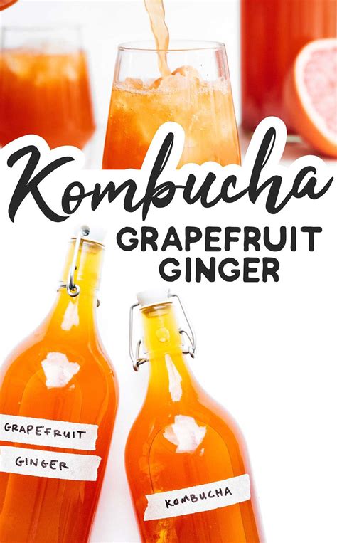 Beginners Guide To Kombucha Making How To Make Kombucha At Home Artofit