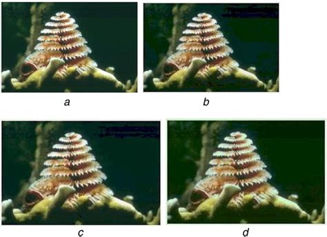 original  thresholded image  levelwise threshold values