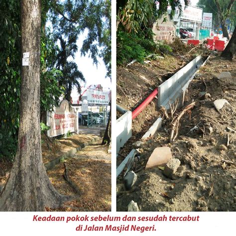 Pulau Pinang Mengutamakan Kereta Pokok Menjadi Korban Persatuan