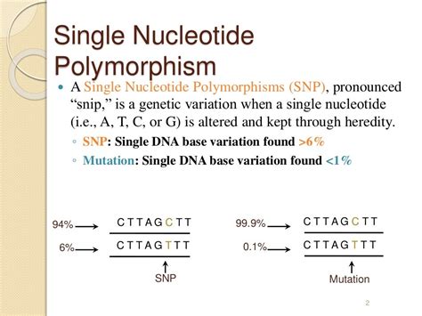 Single Nucleotide Polymorphism