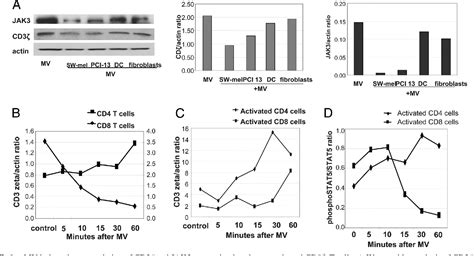 Figure From Tumor Derived Microvesicles Promote Regulatory T Cell