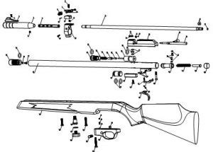 Air Gun Parts Diagram