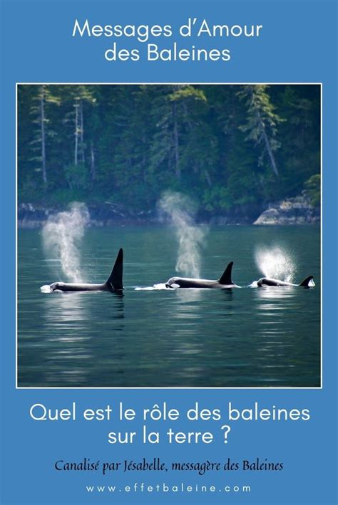 Quel est le rôle des baleines sur la terre Revelations