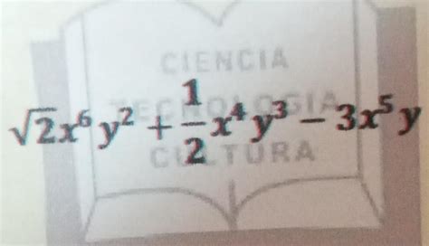 Determina qué tipo de polinomio es Los coeficientes en el polinomio