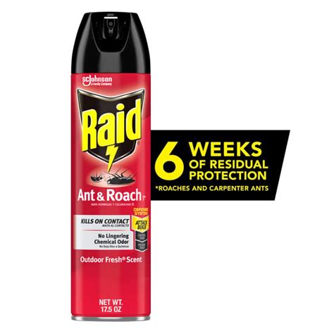 Food Bazaar Raid Ant And Roach Killer Insecticide Aerosol Spray