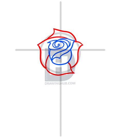 Closed Rose Drawing | Free download on ClipArtMag