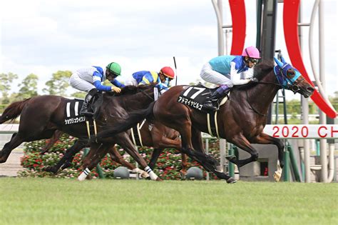 【中京10r・ムーンライトh】アドマイヤビルゴが古馬倒して3勝目 菊花賞には向かわず Umatoku 馬トク