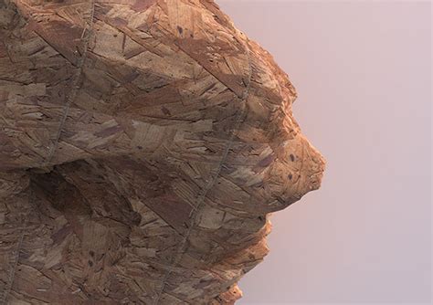 WOOD SCULPT 3D :: Behance