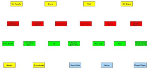 Food Web Insight Maker