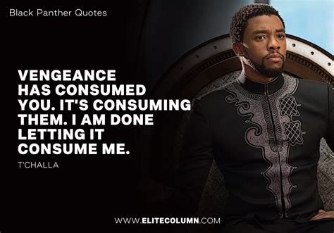 10 Fantastic Quotes from The Blockbuster Black Panther | EliteColumn