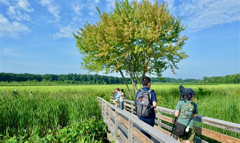 Great Meadows National Wildlife Refuge — Concord Unit | Freedom's Way ...