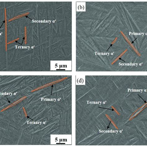 Sem Micrographs Of The Lpbf Ti Samples Before And After Ecp