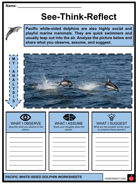 Pacific White-sided Dolphin Worksheets & Facts | Diet, Habitat