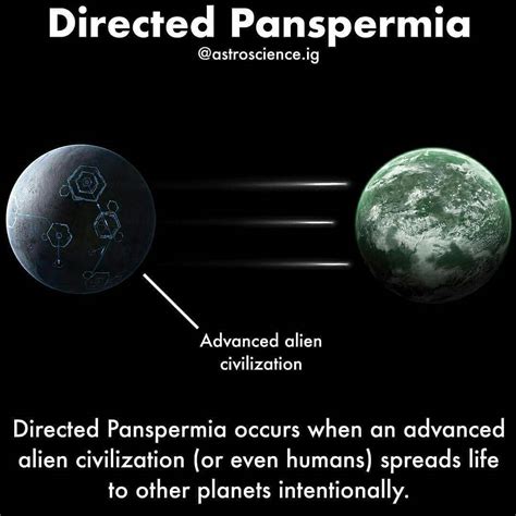 Daily Mos Directed Panspermia