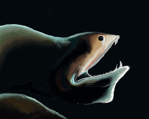 Gulper Eel by LordKuroiClockwork on DeviantArt