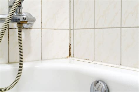 Anti Moisissures Joints De Bacs De Douche Et Des Lavabos Recette