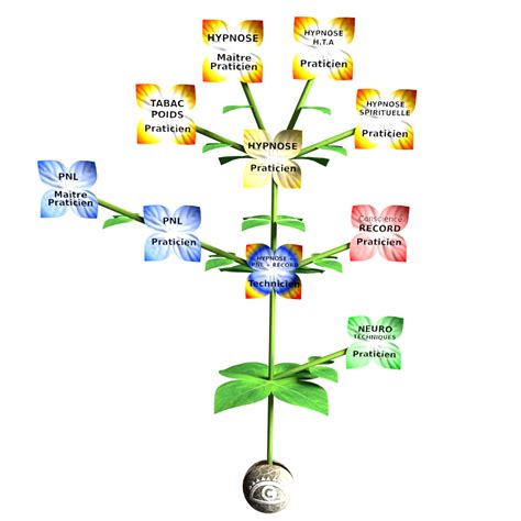 Catalogue Des Formations Sud Conscient