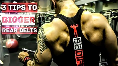 3 Tips For Bigger Rear Delts YouTube