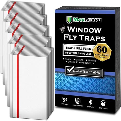 Maxguard Trampas Para Moscas De Ventana Trampas Xl Atrapa Y Mata