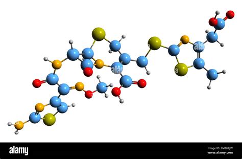 D Imagen De La F Rmula Esquel Tica Cefodizime Estructura Qu Mica